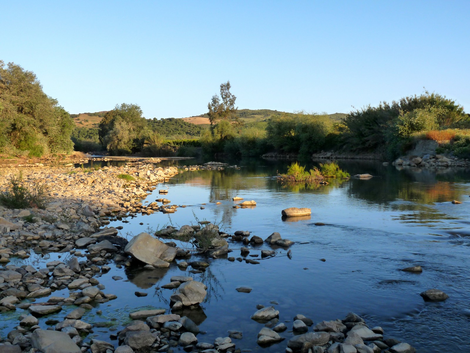 Confluence of the rivers Guadiaro and Genal | Birdingplaces