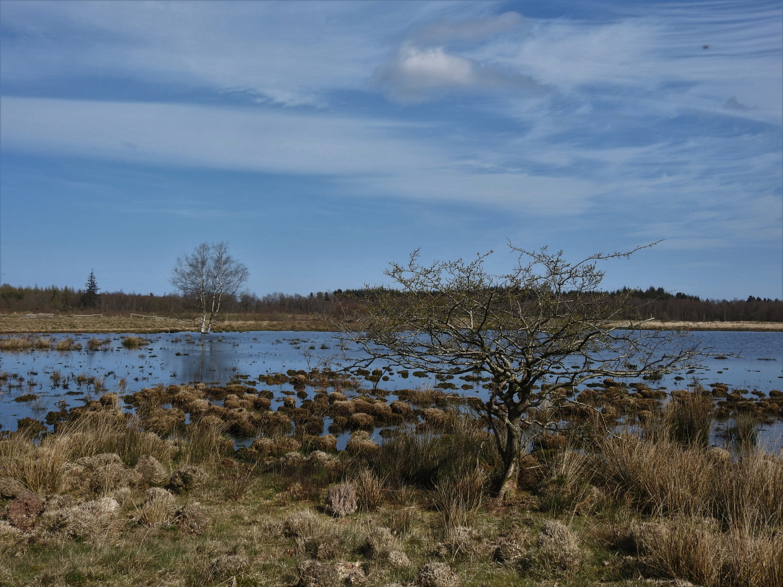 Hostrup Sø og Klattrup Mose | Birdingplaces