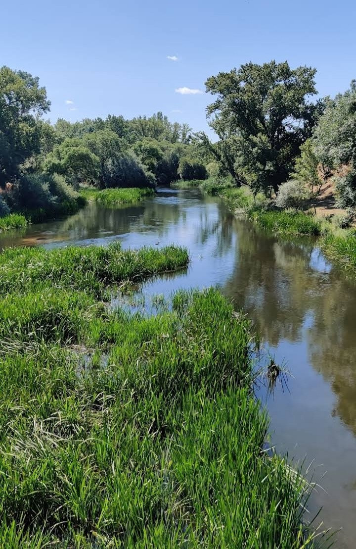 Isla del Soto Birdingplaces