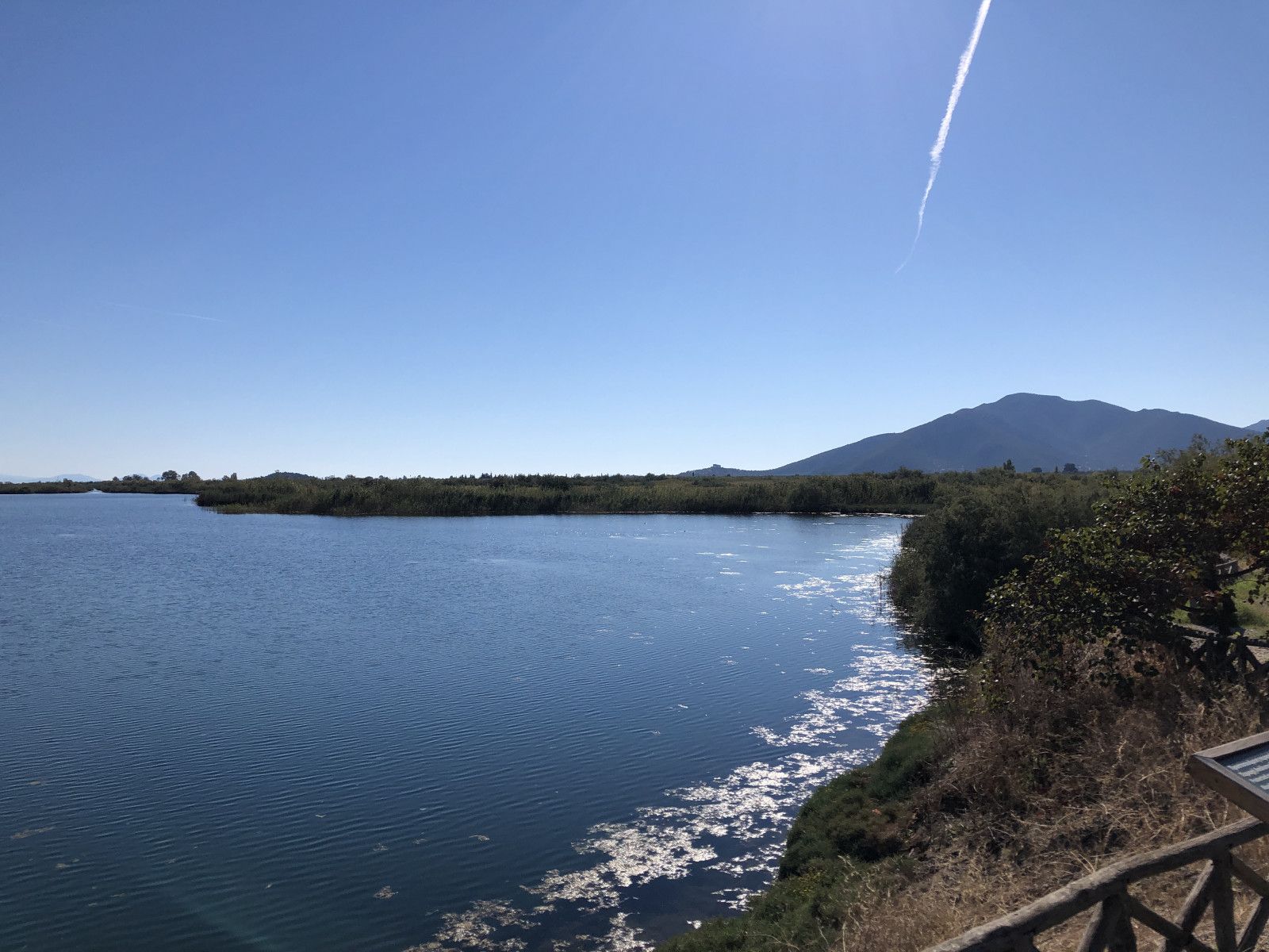Moustos Wetland | Birdingplaces