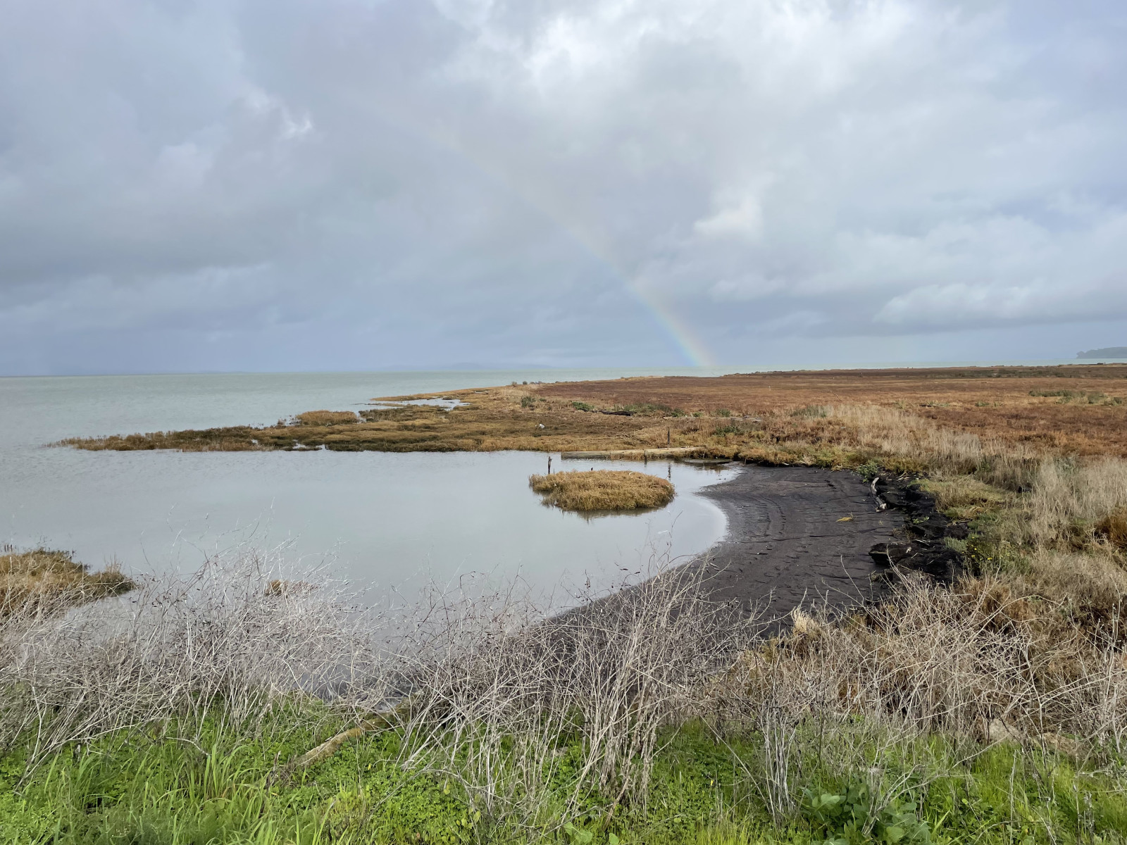 Landfill Loop Trail & Wildcat Marsh Birdingplaces