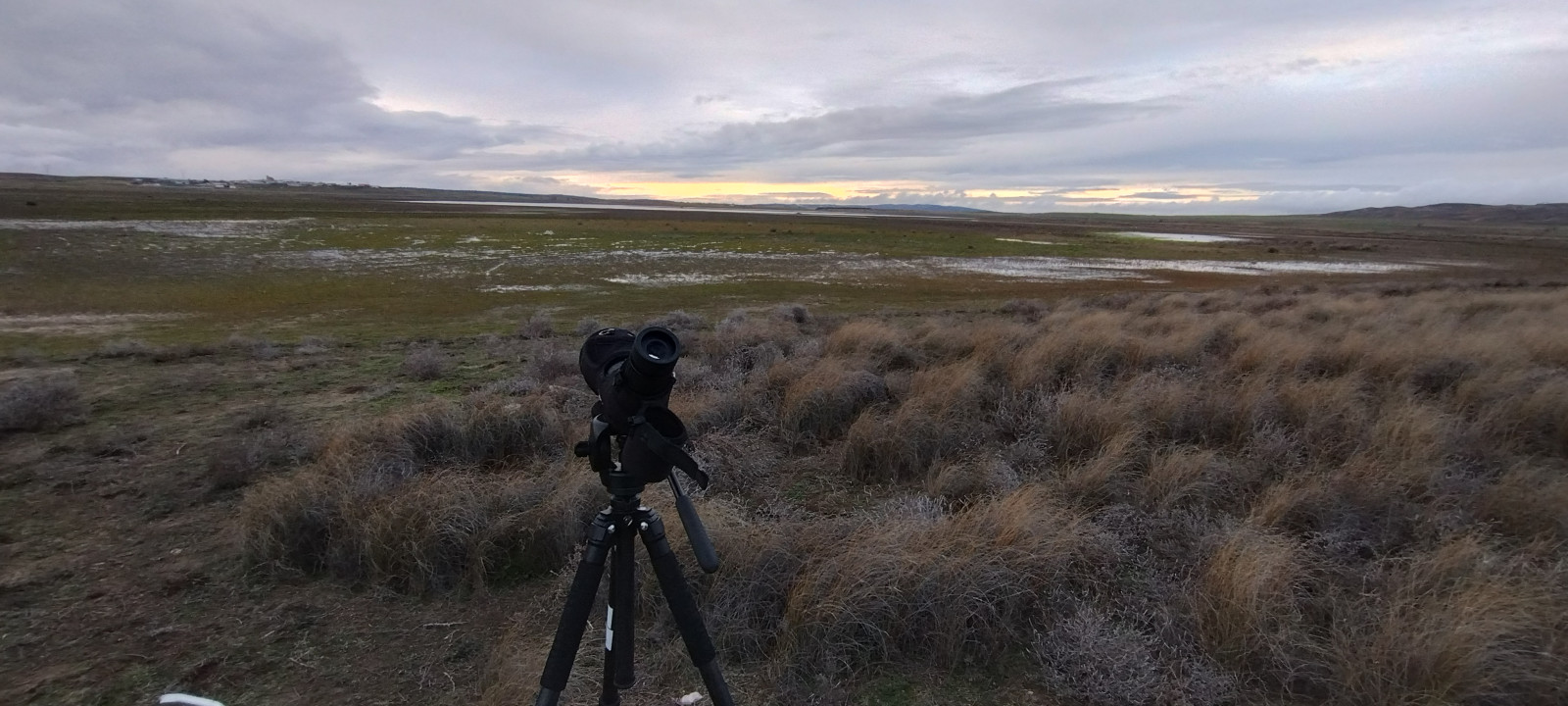La Laguna de El Hito Birdingplaces