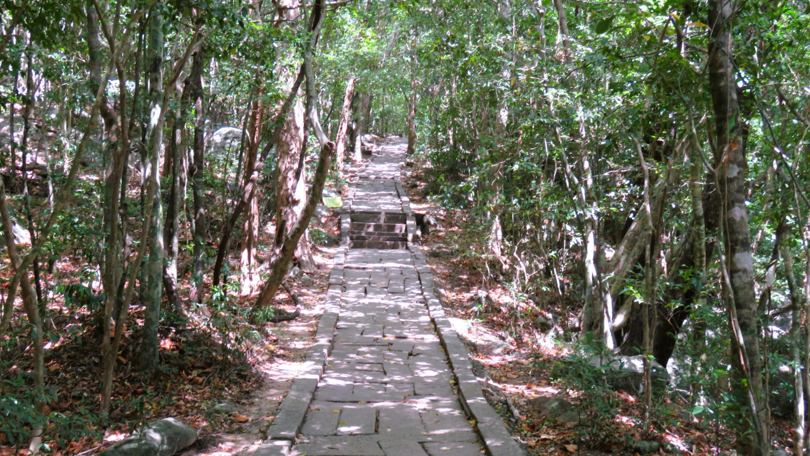 Ritigala Nature Reserve | Birdingplaces