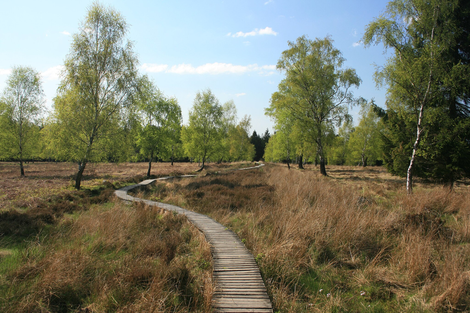 Struffelt | Birdingplaces