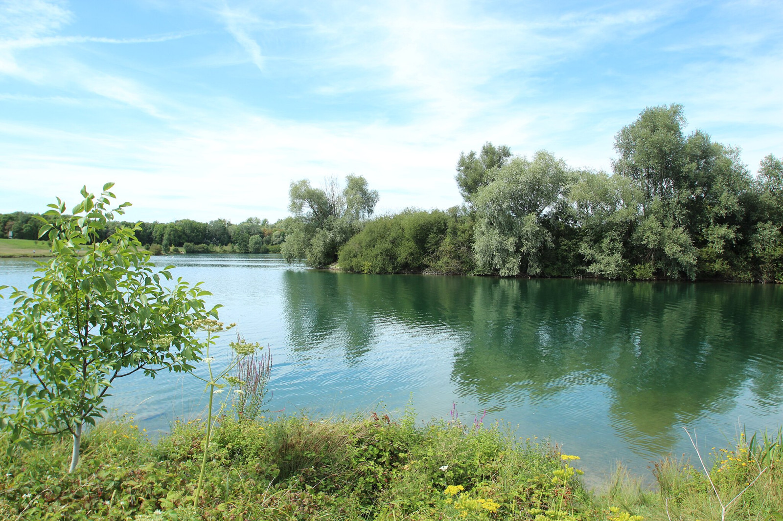 Base de Loisir de Torcy | Birdingplaces