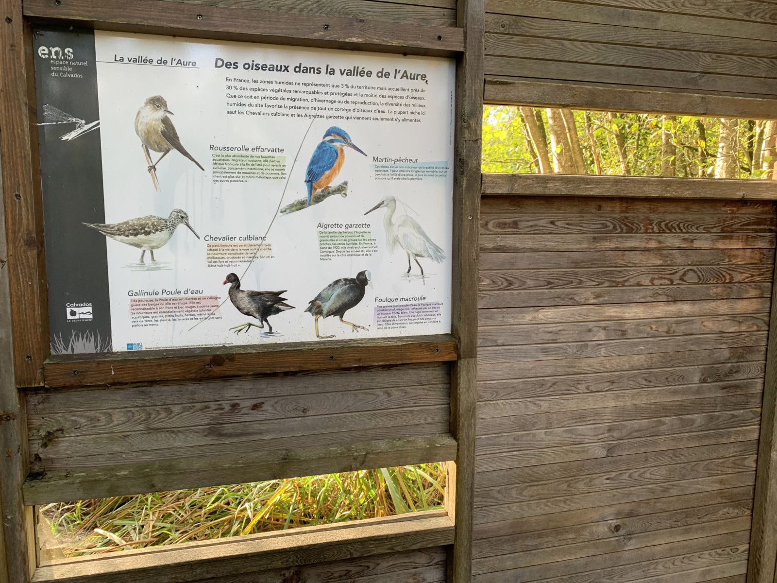 La Vallée de l'Aure Birdingplaces