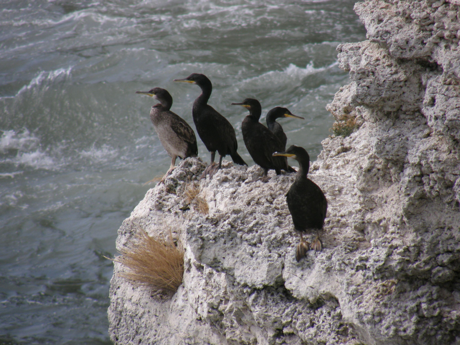 Yailata Birdingplaces