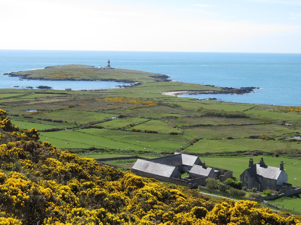 Bardsey Island - Ynys Enlli | Birdingplaces