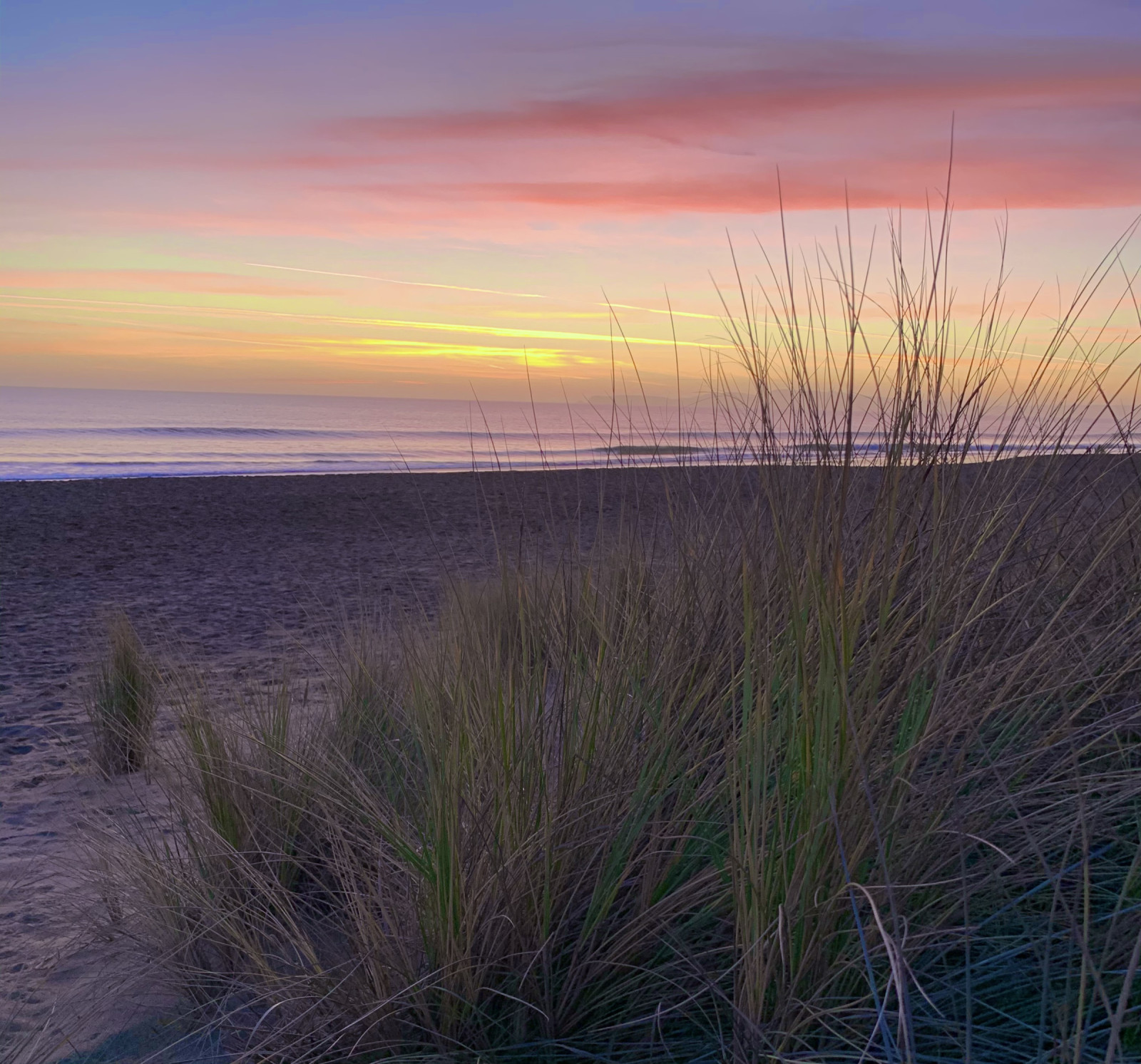 Point Reyes National Seashore | Birdingplaces
