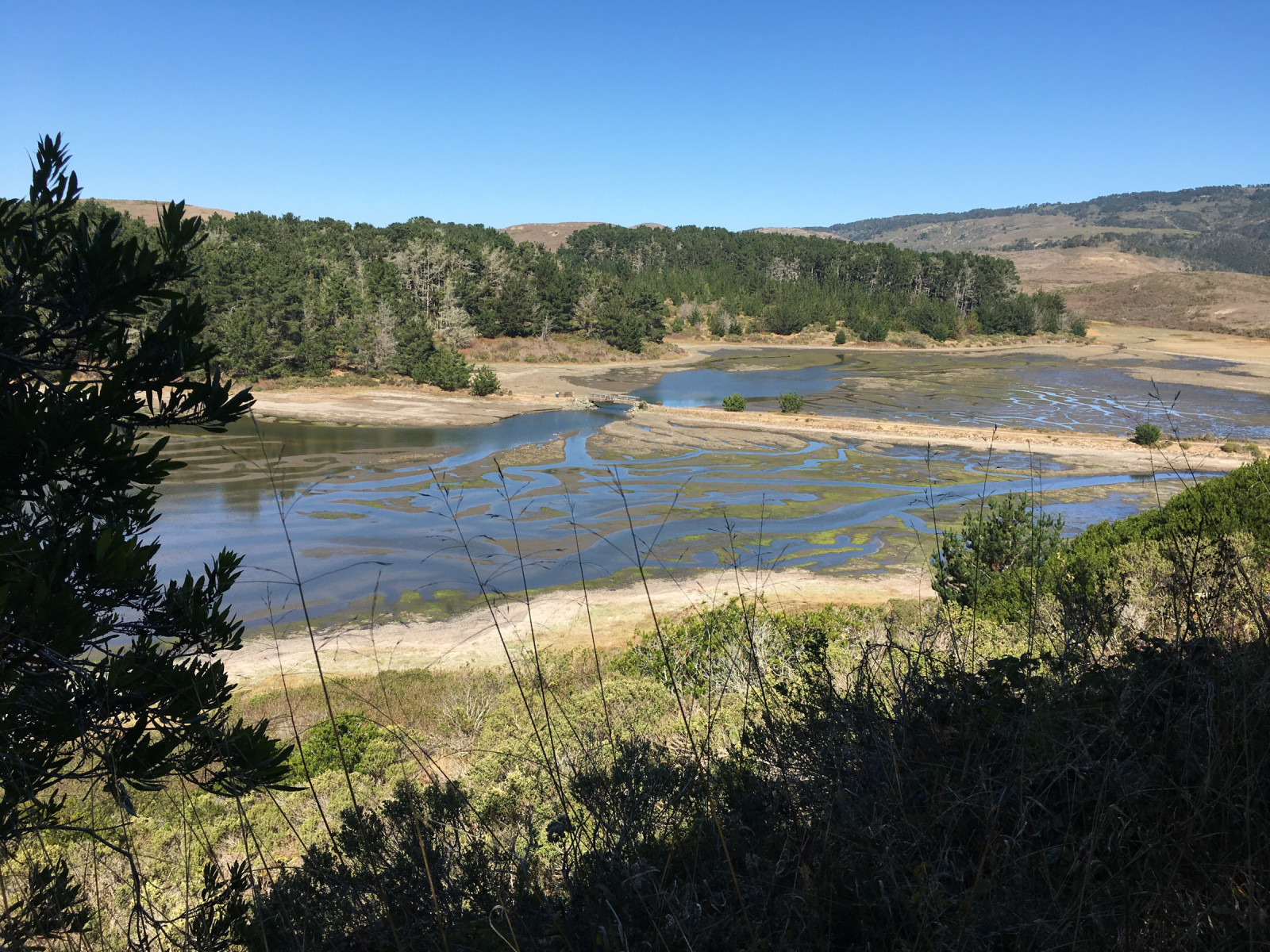 Point Reyes National Seashore | Birdingplaces