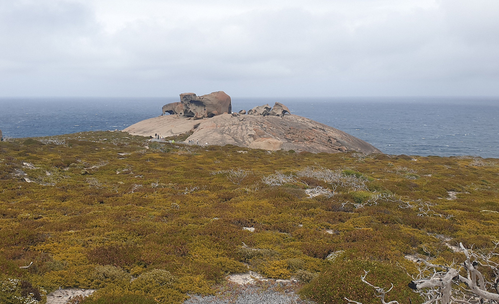 Reamarkable Rocks Remarkable Rocks - Flinders Chase National Park | Birdingplaces