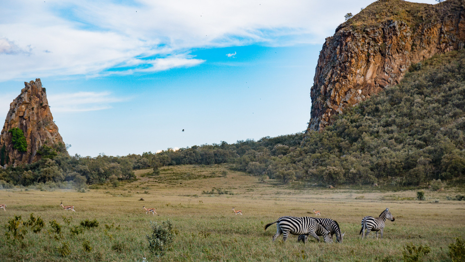 Hell’s Gate National Park | Birdingplaces