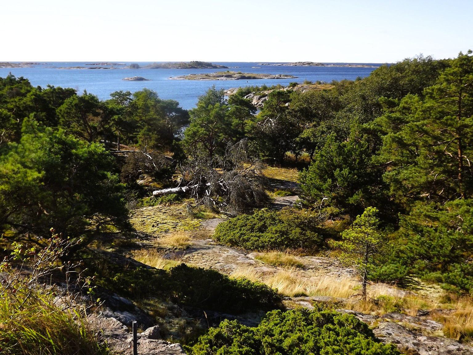 Örö | Birdingplaces