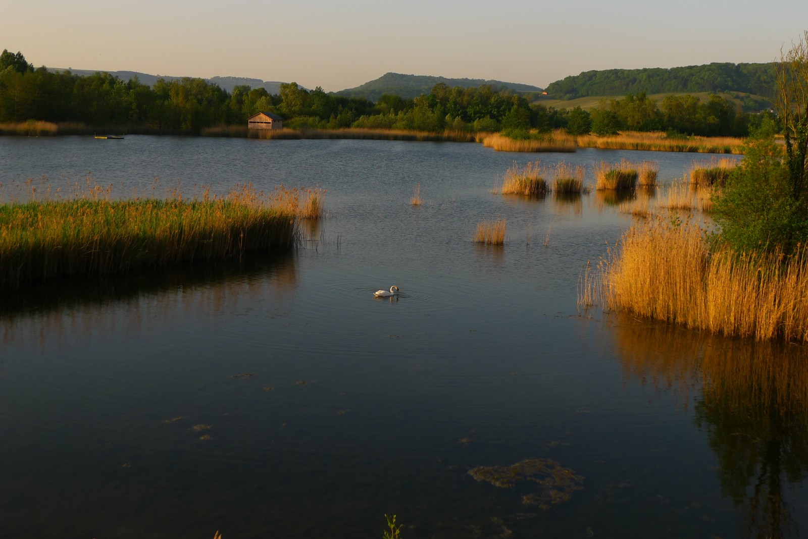 Haff Réimech Nature Reserve | Birdingplaces