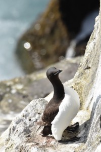 Svörtuloft Lighthouse
