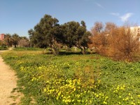 Parque Princesa Sofía