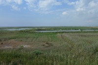 Mirador Migjorn de l'Alfacada