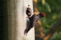 Landgoed Mookerheide