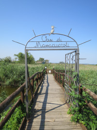 Oasi LIPU Massaciuccoli