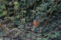 Observatorio Las Caldas