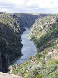 São João das Arribas