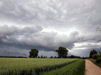 Krümmi Ausgleichflache