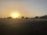 Cabañeros National Park