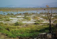 Old Delta of the Kalamas River