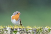 Parque da Cidade do Porto