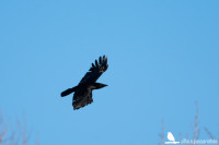 Parque da Pasteleira