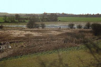 Wilbraham Fens