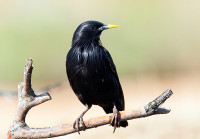 Embalse de La Grajera