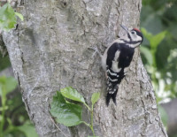 East Coast Nature Reserve