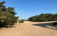 Wekeromse Zand