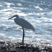 Punta Prima and South West Coast of Menorca