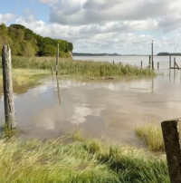 Aylburton Warth and New Grounds