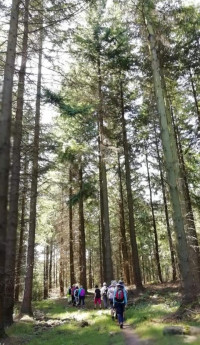 Nagshead RSPB and Cannop Ponds