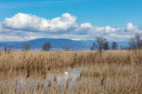 Point de vue de Châbles