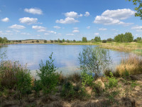 Westmeerven - De Hamert