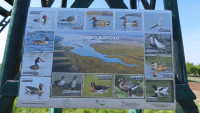 Slano Kopovo Nature Reserve