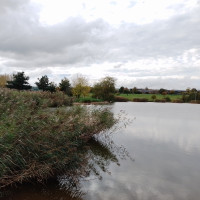 St Weonards to Pencoed