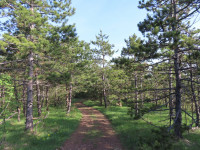 Mount Suvobor and Ravna Gora