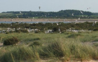 Blakeney Point