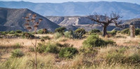 Tabernas Desert