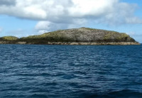 Middle Mouse Island