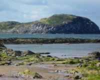 Scottish Seabird Centre