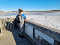 Hjälstaviken Nature Reserve
