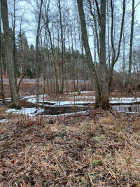 Silletorpsån - Rödeby