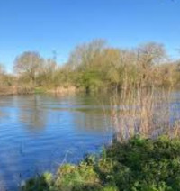 Sutton Courtenay Gravel Pits