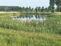 Culemborgse Veld